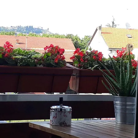 Il Bel Juk Apartament *